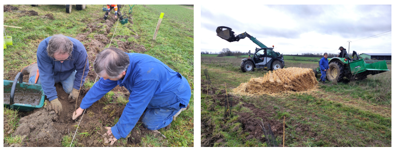 Plantation_haie Plantation_haie